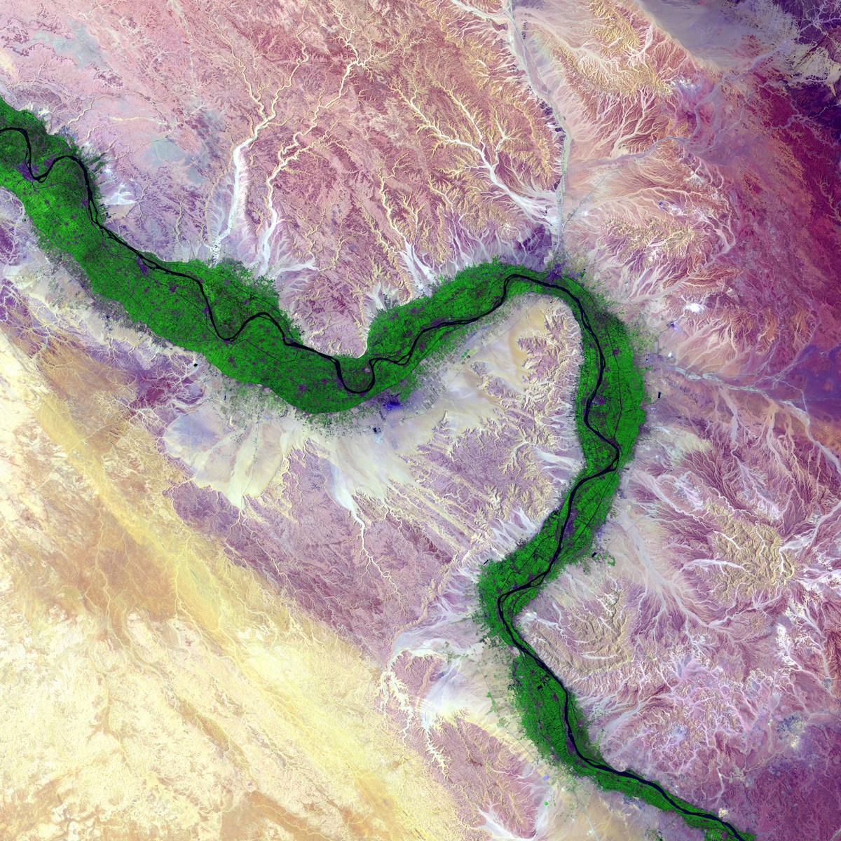nile